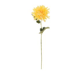 Ks chryzantéma žltá 55cm