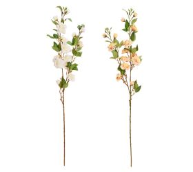 Ks ruža šípová, zeleň mix/2f 90cm