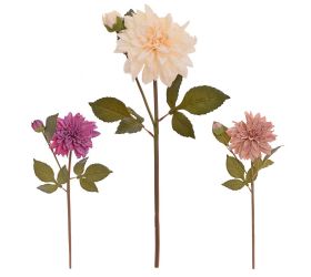 Ks dalia mix/3f 48cm