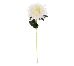 Ks chryzantéma biela 60cm