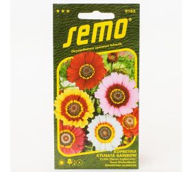 Králik kýlnatý rainbow mix 0,5g