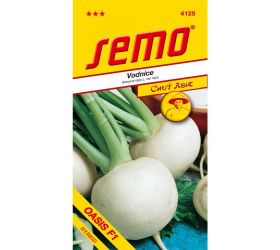 Okrúhlica oasis neskorá f1 50s.