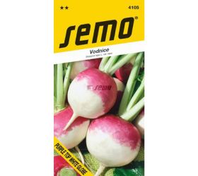 Vodnica purple top white globe 2g