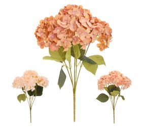 Kytica hortenzia x5 45cm mix jesenné 3f