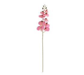 Ks orchidea phalaenopsis ruž-žlt 95cm