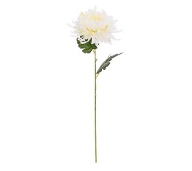 Ks chryzantéma krémová 59cm