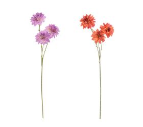 Ks chryzantéma mix/2f 68cm