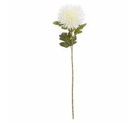 Ks chryzantéma biela 70cm