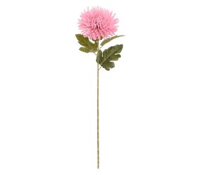 Ks chryzantéma ružová 70cm