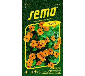 Tunbergia oranž 1g