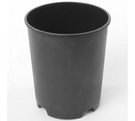 Kontajner ruže- rp - 4l