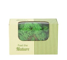 Moss reindeer zelená 50gr nature 14x8x10cm