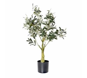 Olivovník v plast.kvetináči šed./zel. 75cm