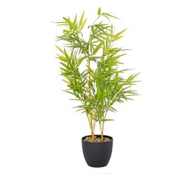 Bambus strom zel.80cm