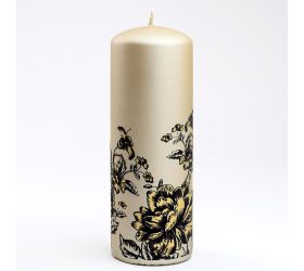 Pivonia val.70/200 šampaň