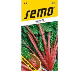 Mangold rhubarb chard 4g