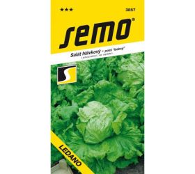 Šalát ľadový ledano 0,8g