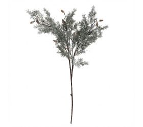 Konár tuja,šišky sivo-zelená 80 cm