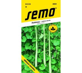 Indická uhorka kalabasa 1g