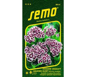 Klinček brad.holborn glory (heimatland)0,50g