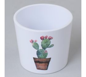 61880 obal kakteent cactus garden 870/09