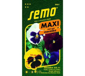 Sirôtka veľkokvetá xxl 15s