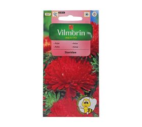 Astra čín.pivon. stanislaw 0,5g