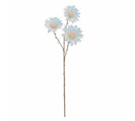 Astra metalová 60 cm