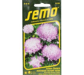 Astrovka čínska duchesse silvery rose 0,5g