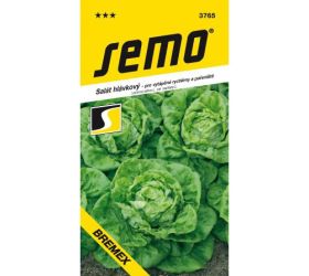 Šalát hl.bremex 0,6 g