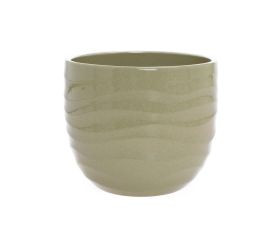 69639 obal rush grass 969/15