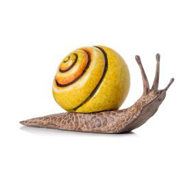 Slimák žlt/hne polyrez 12,5x5,2x6,2cm