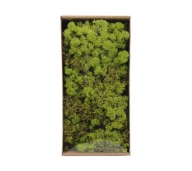 Moss reindeer 500gr nature 38x19x9cm