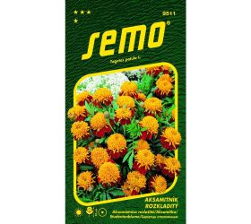 Aksamietnica rozl tiger eyes 1g