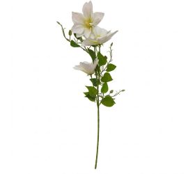 Ks clematis biely 77cm