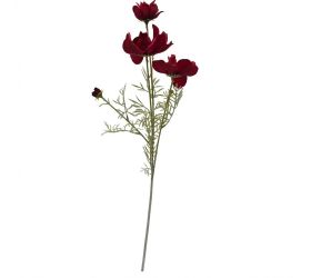 Ks cosmos červený 78cm