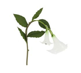 Anjel.trúba 122x24x24cm biela