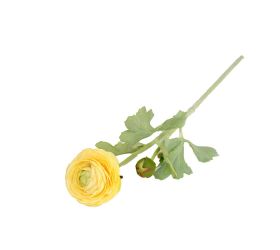 Ranunculus 51cm žltý