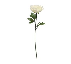 Ks pivonka krémová 65cm