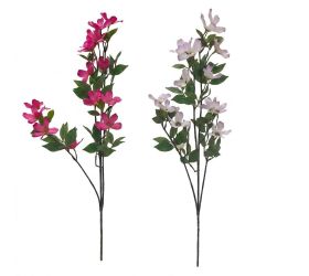 Ks plamienok horský mix/2f 93cm