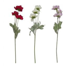 Ks papaver mix/3f 56cm