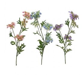Ks scabiosa mix/3f 81cm