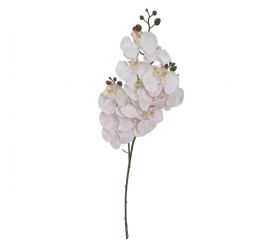 Ks orchidea phalaenopsis x3 biela 77cm