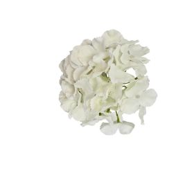Ks hlava hydrangea biela 16cm
