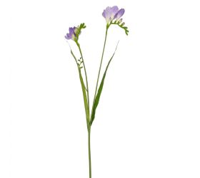 Ks frézia mix/3f 63cm