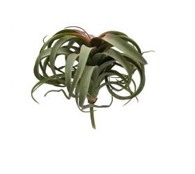 Zápich tilandsia strieborná 27cm
