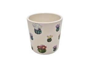 Obal kaktus mini farebný 11,3xv11,6cm