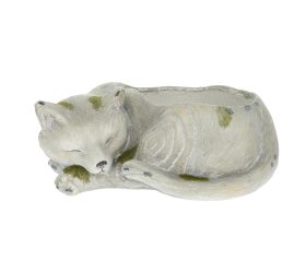 Mačka obal mgo 34,5x23x14cm sivá
