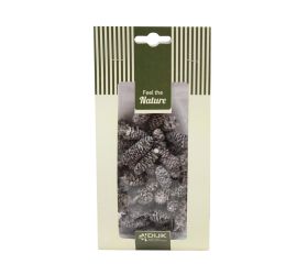 Pinecone birch nature 10x5x22cm 50gr