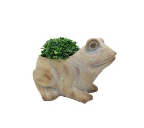 Žaba obal mgo 32x23x23cm béžová